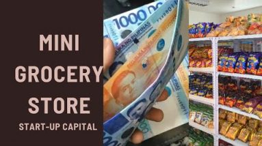 Mini Grocery Store Create and Birth-up Capital
