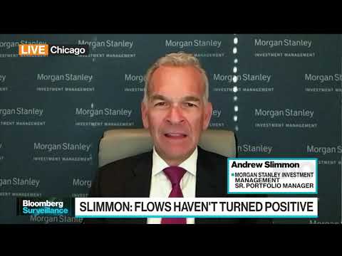Morgan Stanley’s Slimmon Sees Sturdy Fourth-Quarter for Stocks
