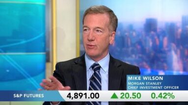 Morgan Stanley’s Wilson on Stock Picker Alternatives