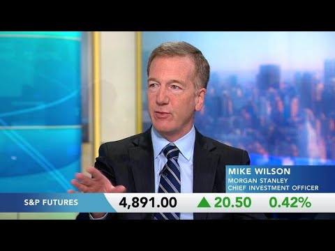 Morgan Stanley’s Wilson on Stock Picker Alternatives